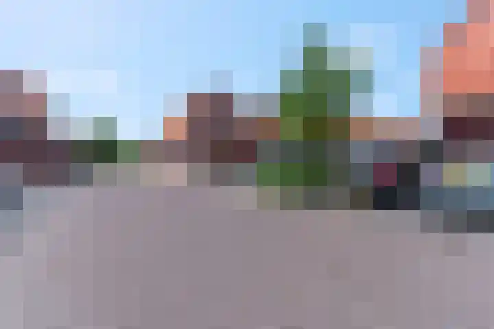 Leeuw 6 Elst thumbnail 30