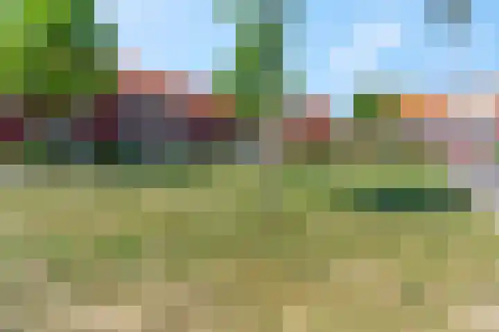 Leeuw 6 Elst thumbnail 32