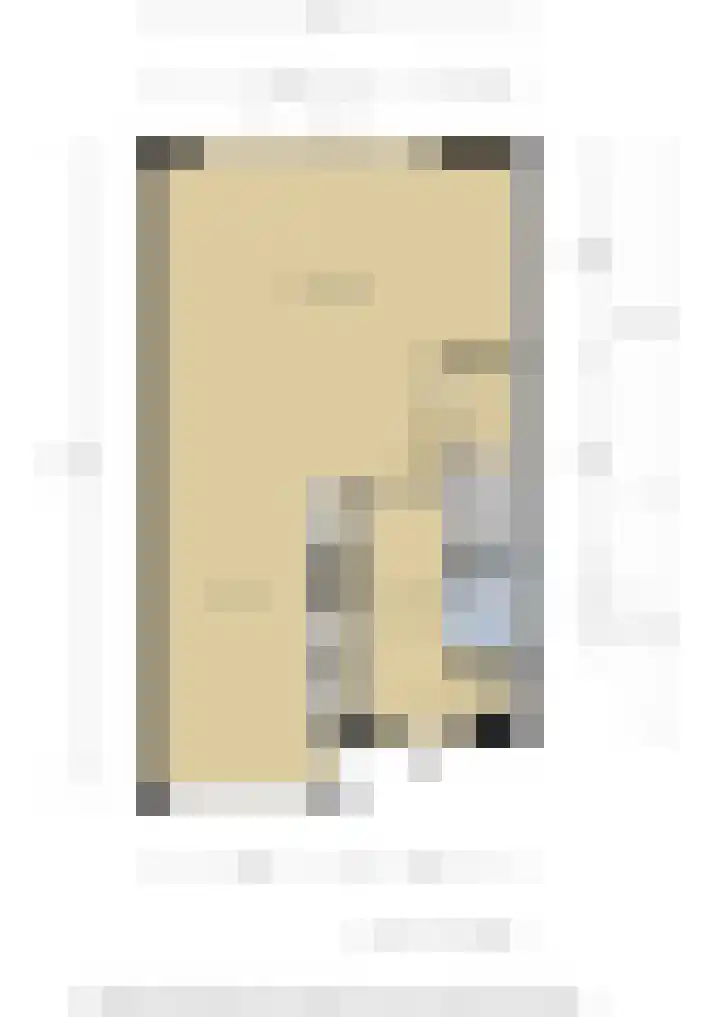 Leeuw 6 Elst thumbnail 35