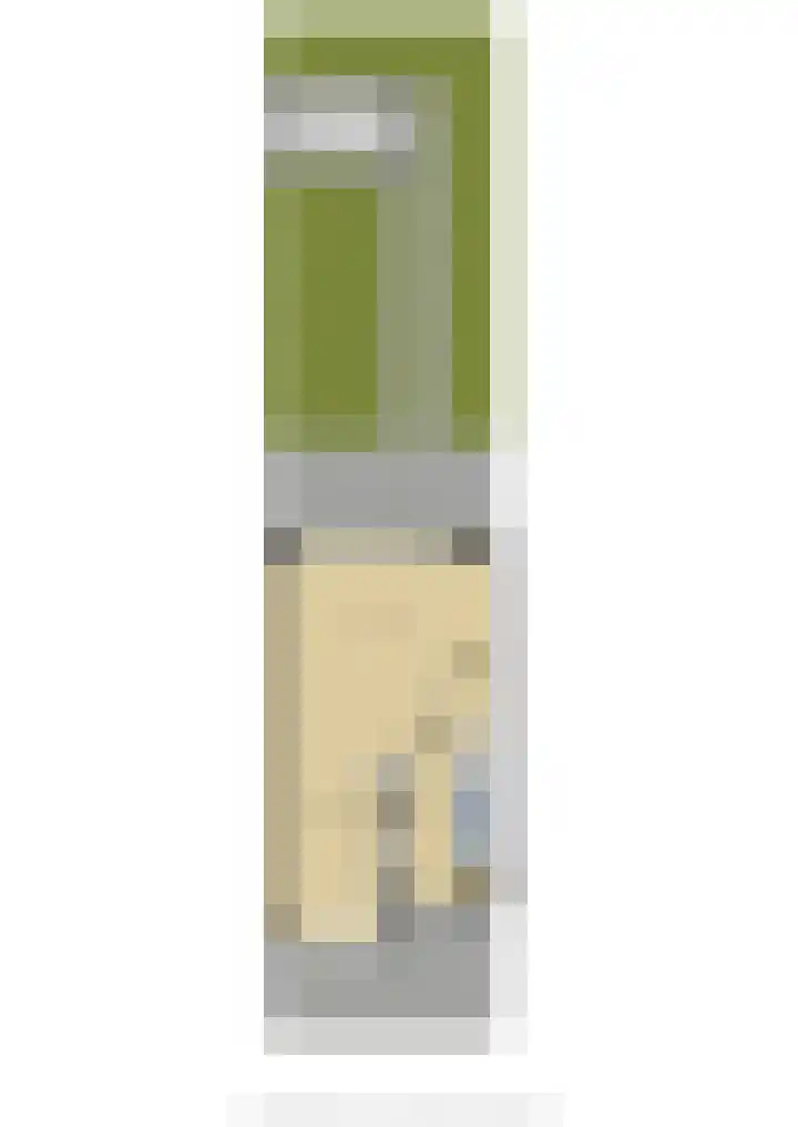 Leeuw 6 Elst thumbnail 39