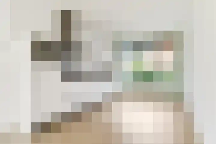 Leeuw 6 Elst thumbnail 6