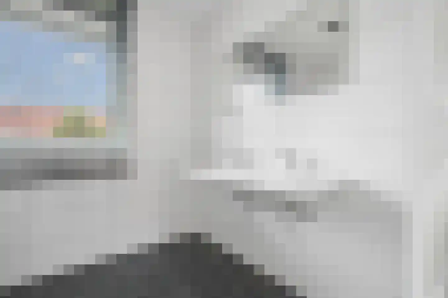 Leeuw 7 Elst thumbnail 22