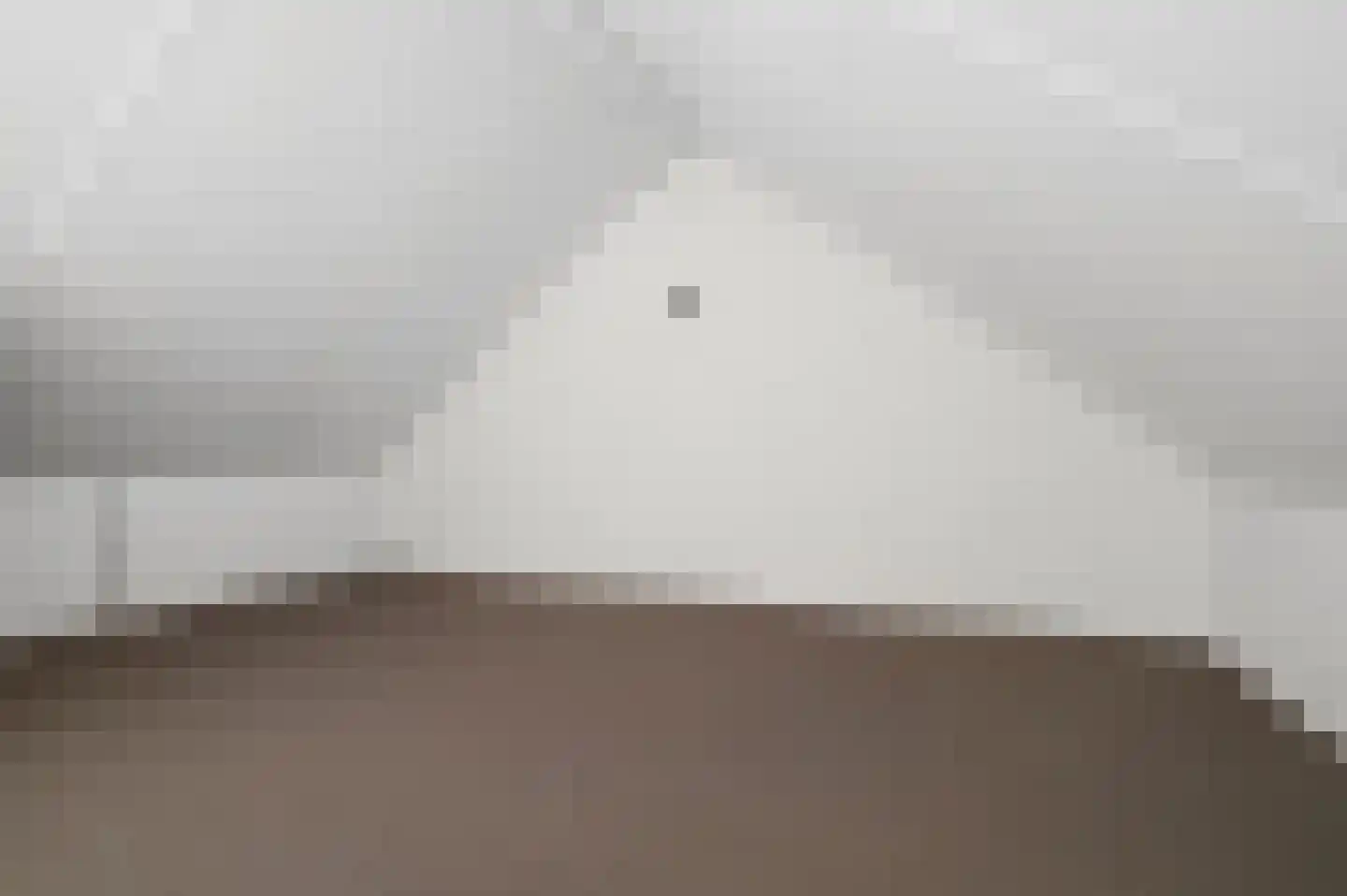 Leeuw 7 Elst thumbnail 26