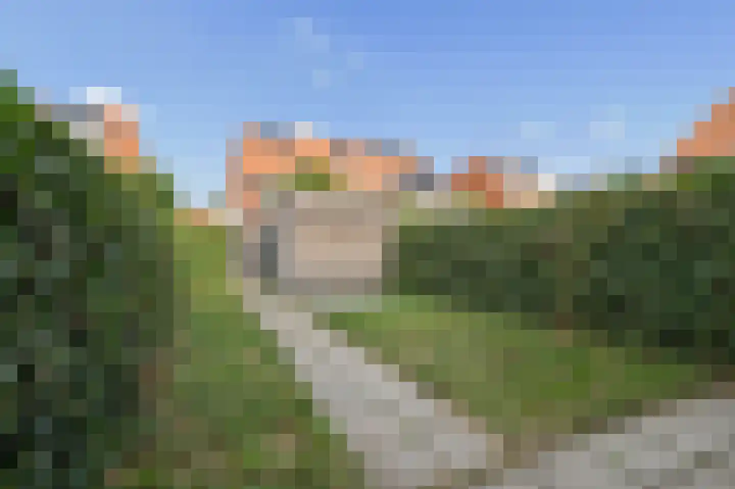 Leeuw 7 Elst thumbnail 28