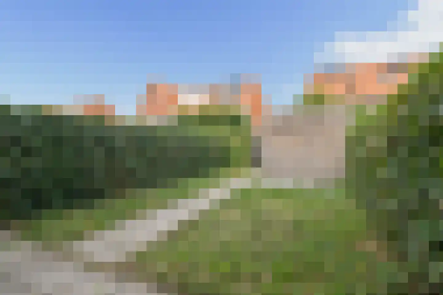 Leeuw 7 Elst thumbnail 29