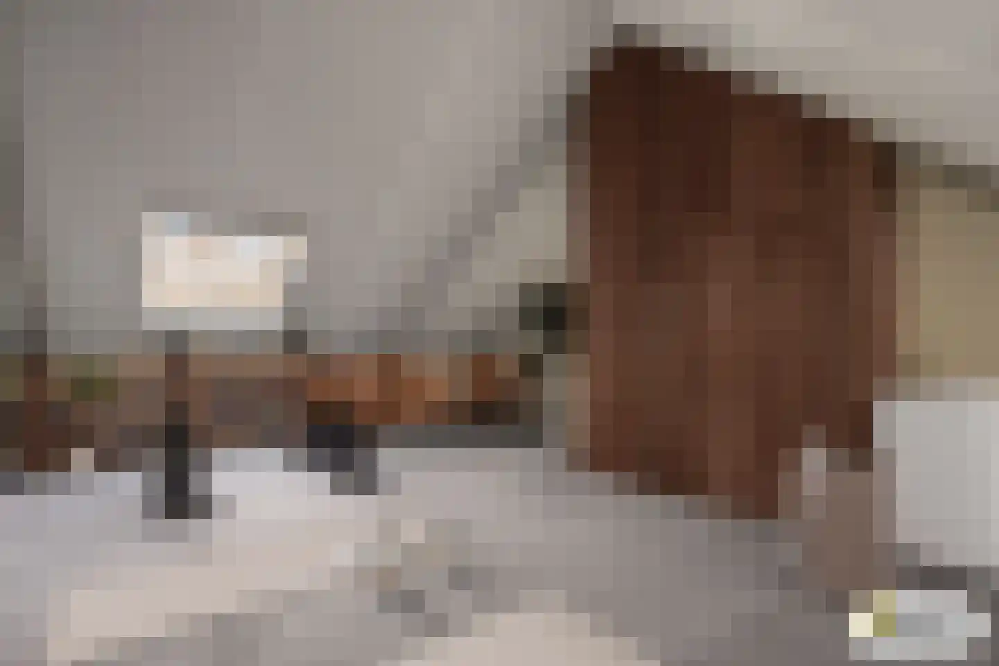 Leeuw 7 Elst thumbnail 33