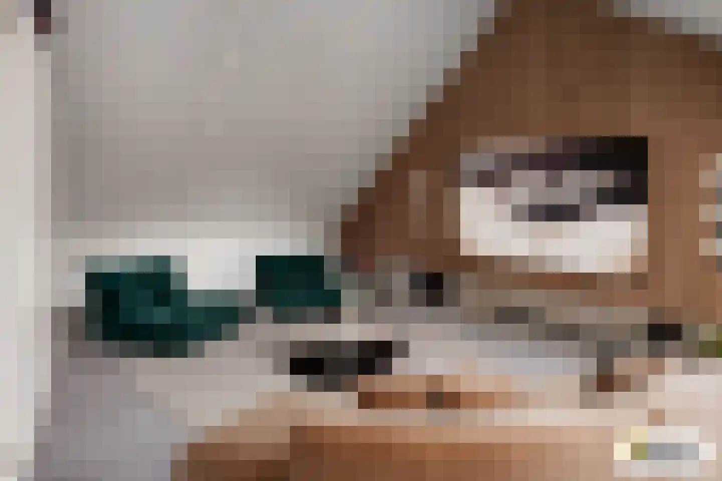 Leeuw 7 Elst thumbnail 34