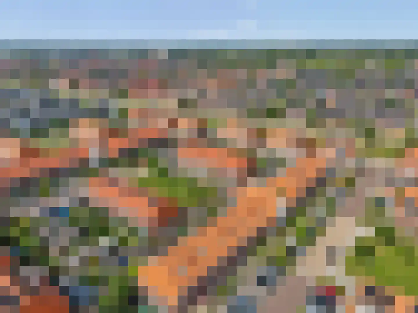 Leeuw 7 Elst thumbnail 36