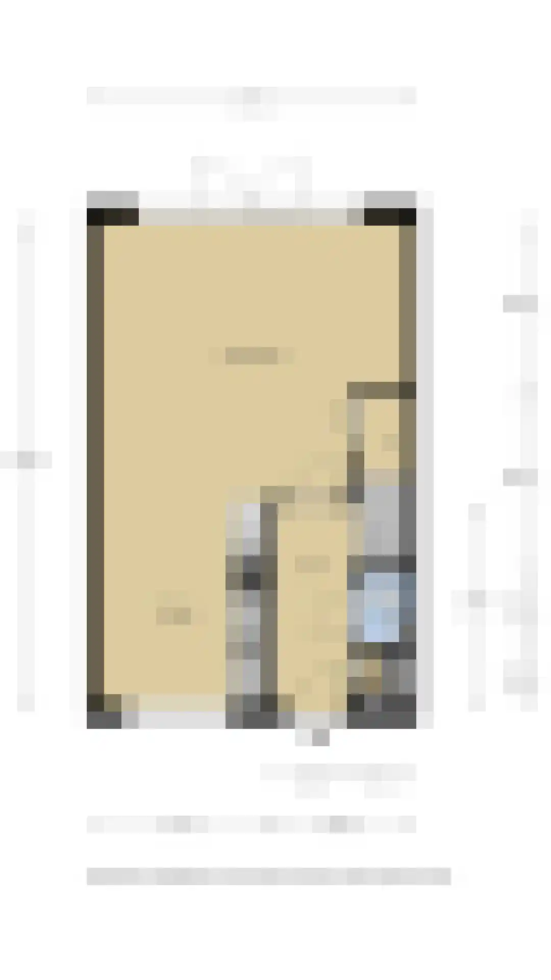 Leeuw 7 Elst thumbnail 37