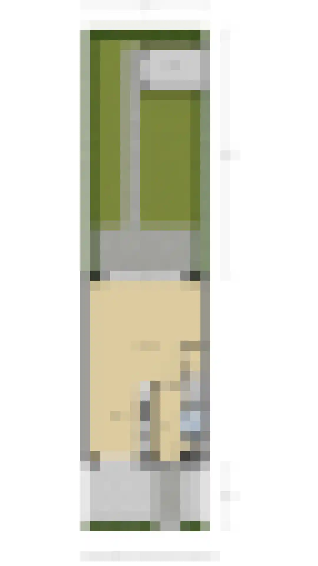 Leeuw 7 Elst thumbnail 41