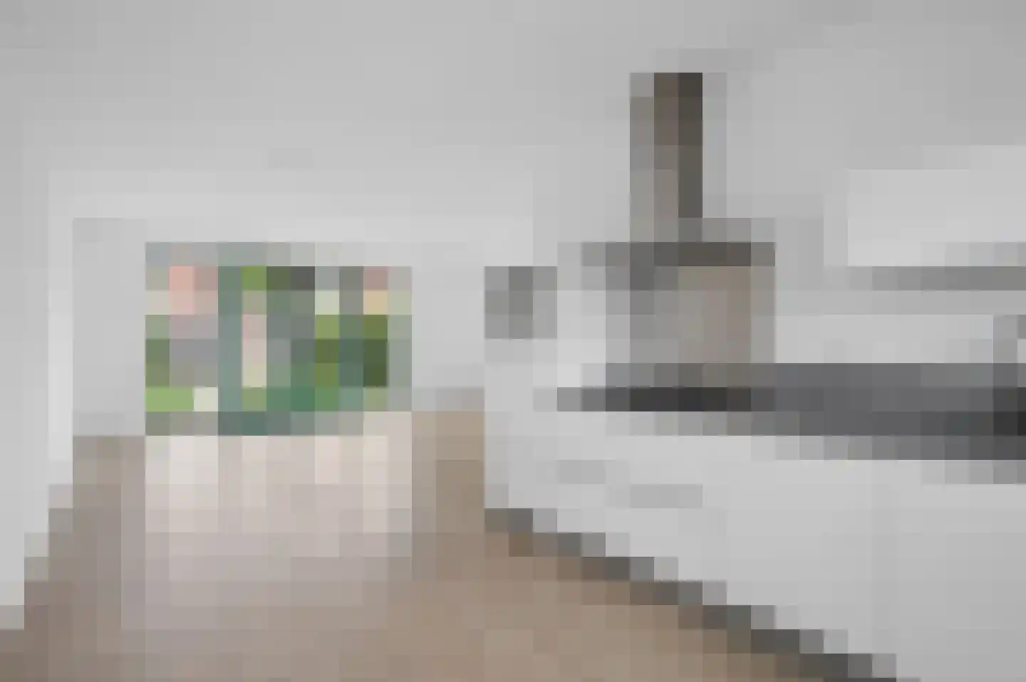 Leeuw 7 Elst thumbnail 8