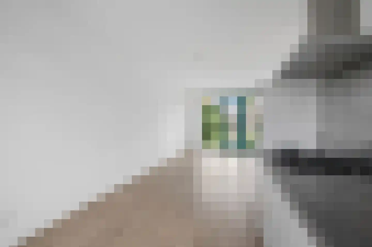Leeuw 7 Elst thumbnail 9