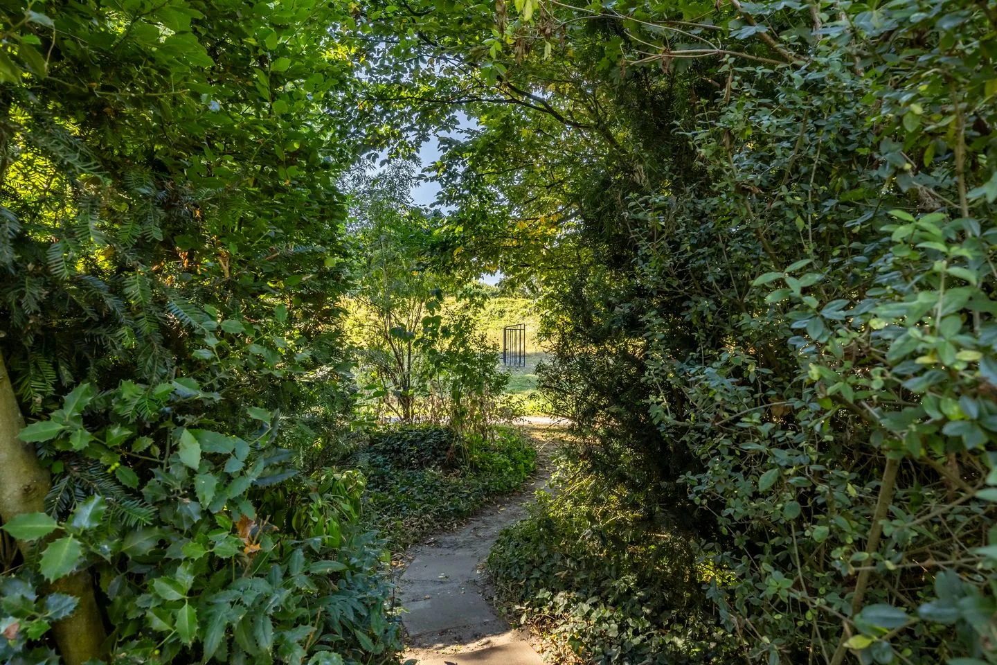 Leeuwardenweg 74 Arnhem thumbnail 23