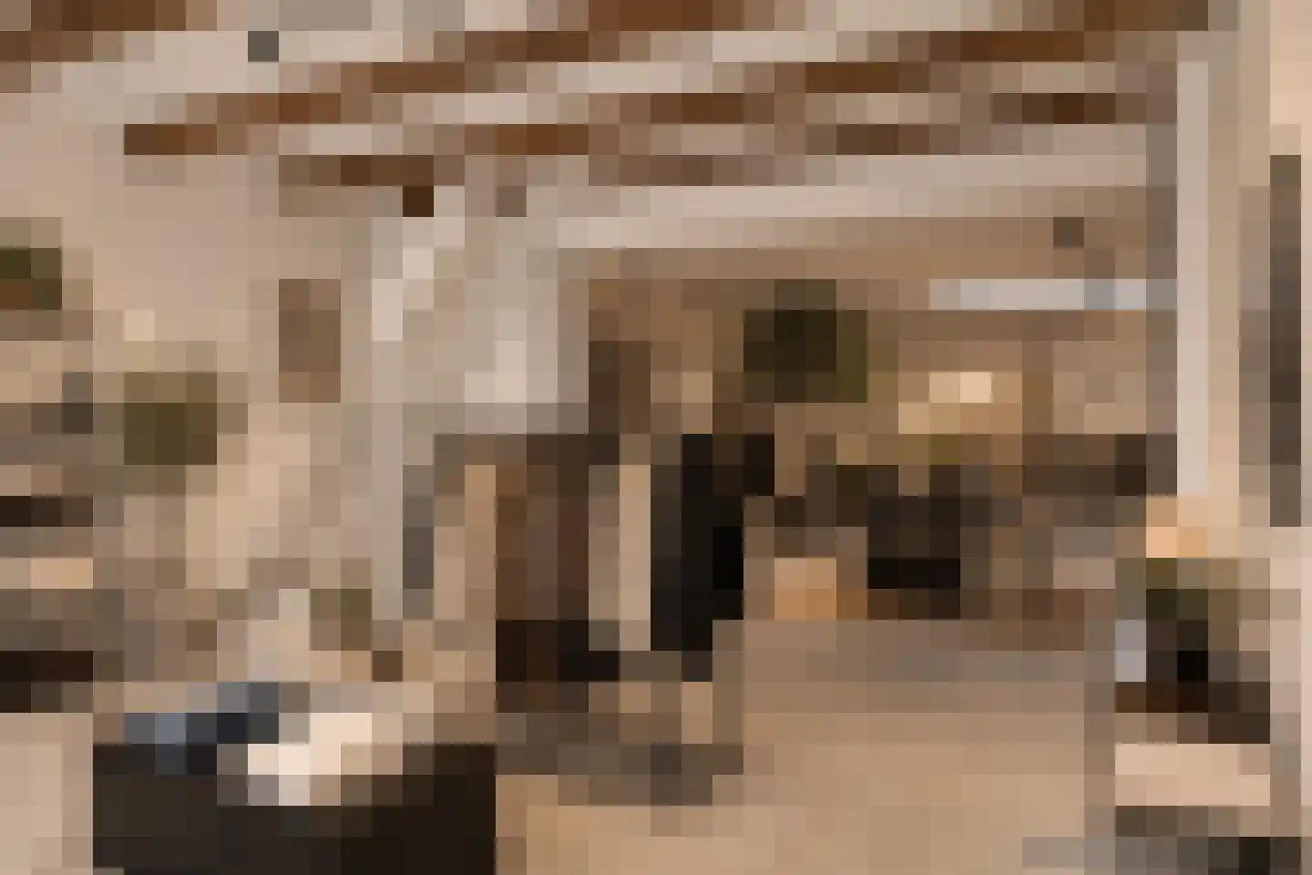 Leeuwarderend 4 Franeker thumbnail 13