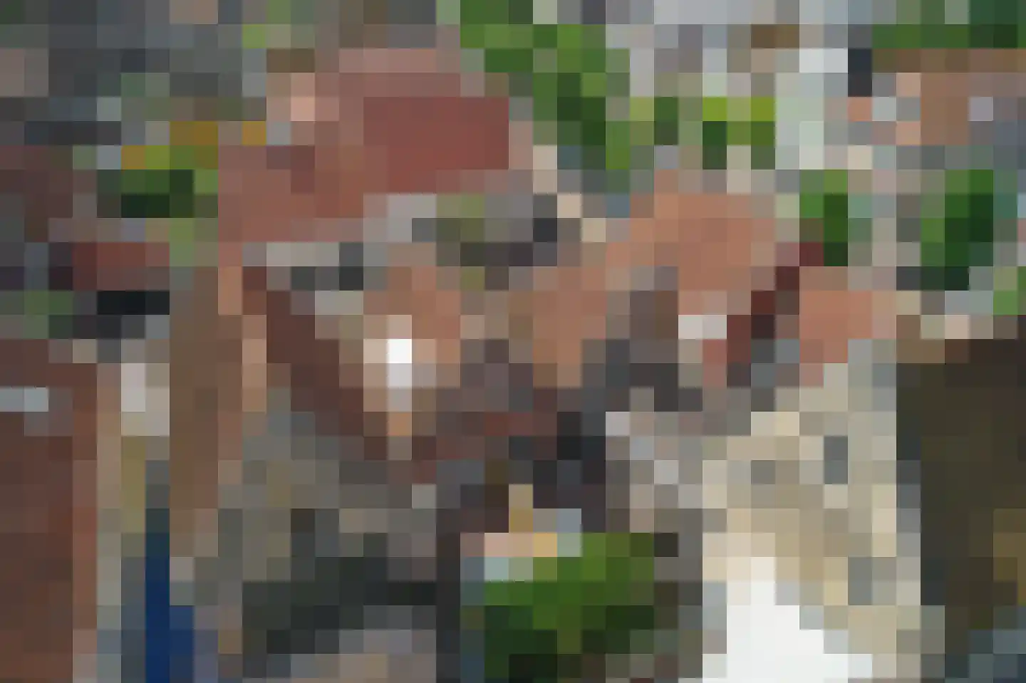 Leeuwarderend 4 Franeker thumbnail 29
