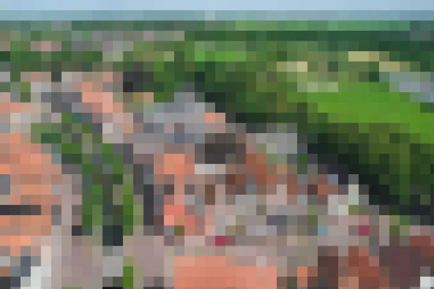 Leeuwarderend 4 Franeker thumbnail 4