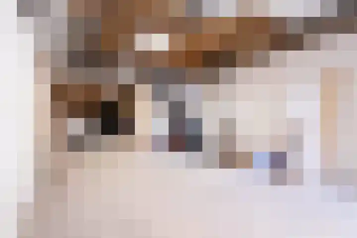 Leeuwarderend 6 Franeker thumbnail 5