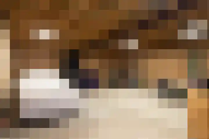Leeuwarderend 6 Franeker thumbnail 6