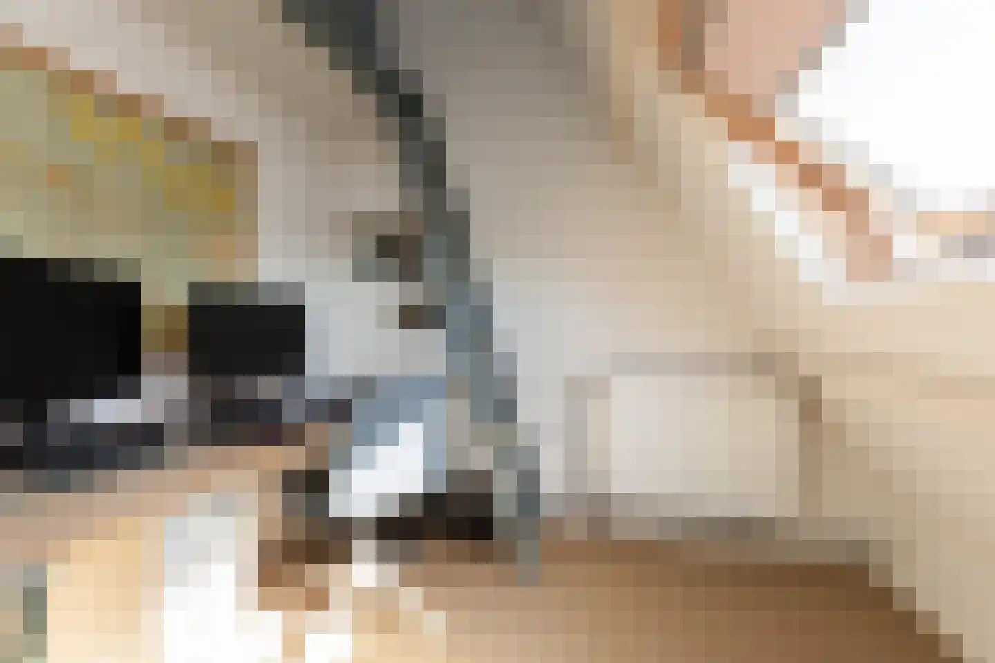 Leeuwarderkade 22 Sneek thumbnail 32