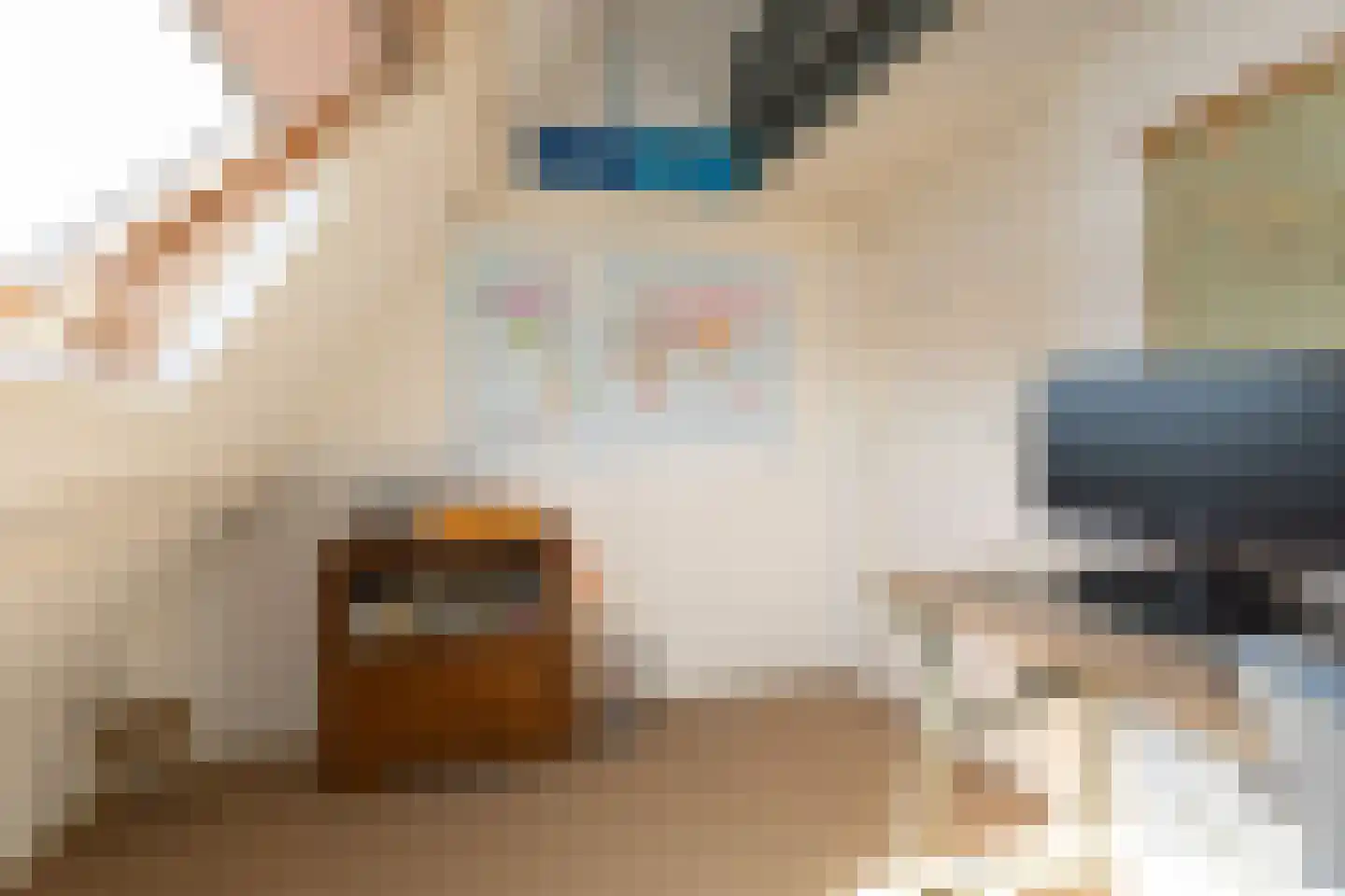 Leeuwarderkade 22 Sneek thumbnail 33