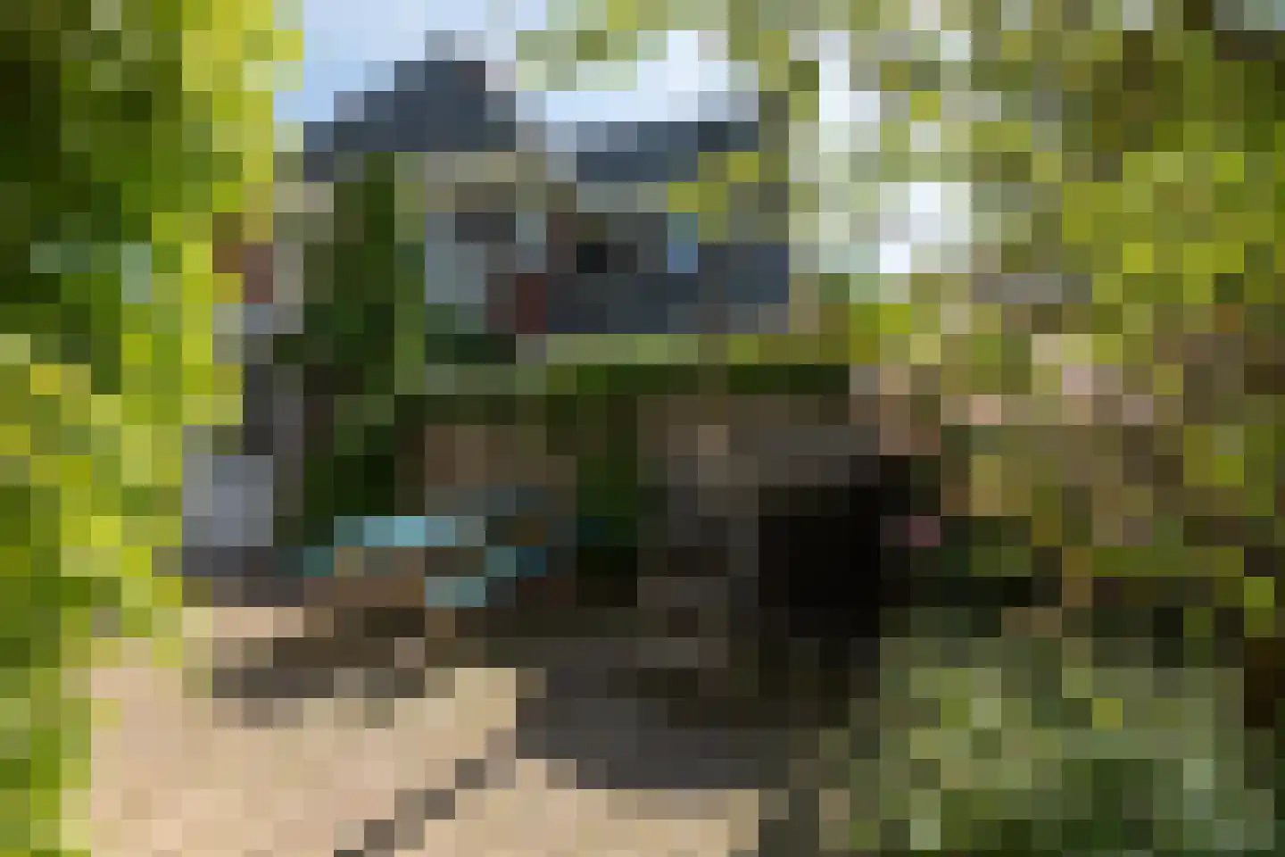 Leeuwarderkade 22 Sneek thumbnail 36