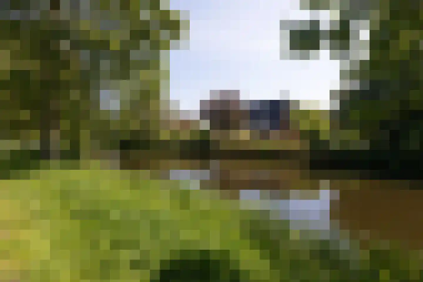Leeuwarderkade 22 Sneek thumbnail 44