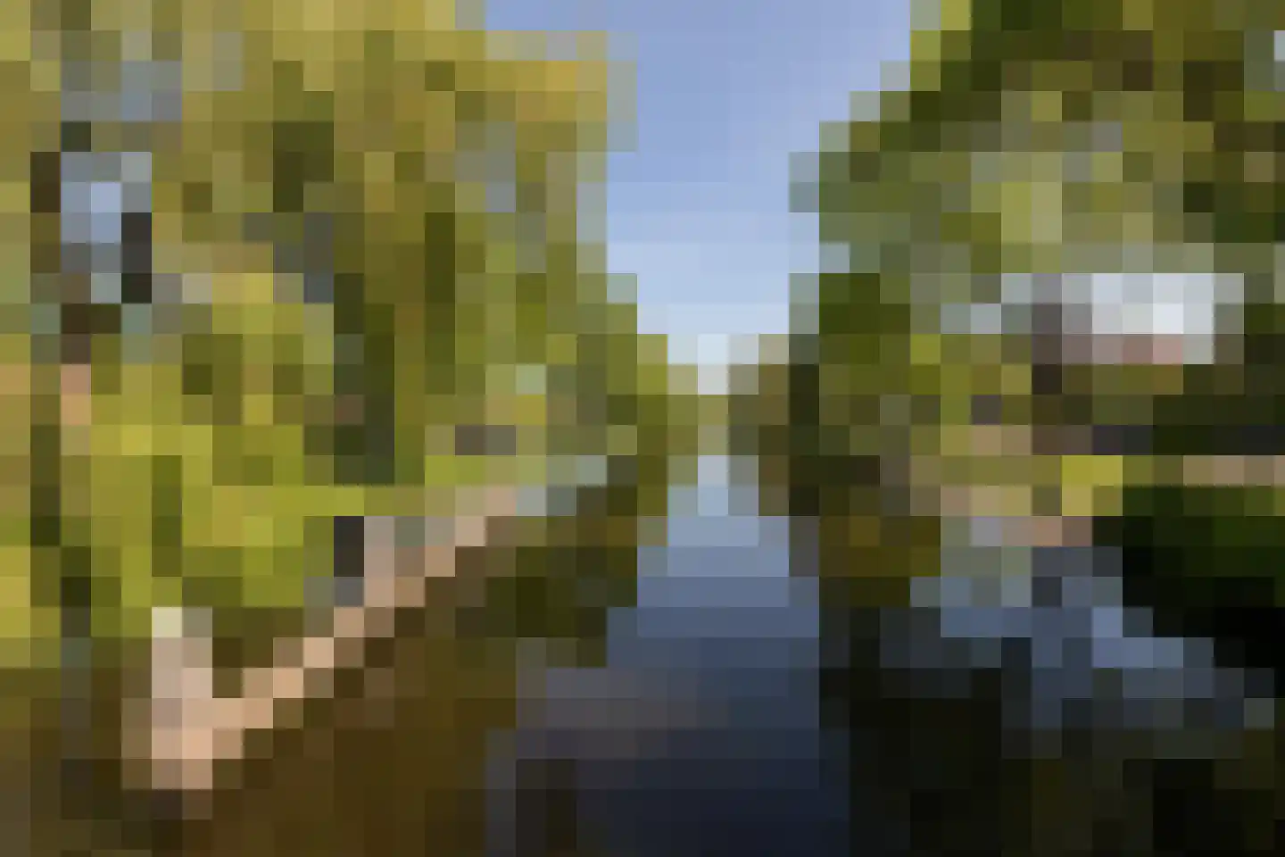 Leeuwarderkade 22 Sneek thumbnail 46