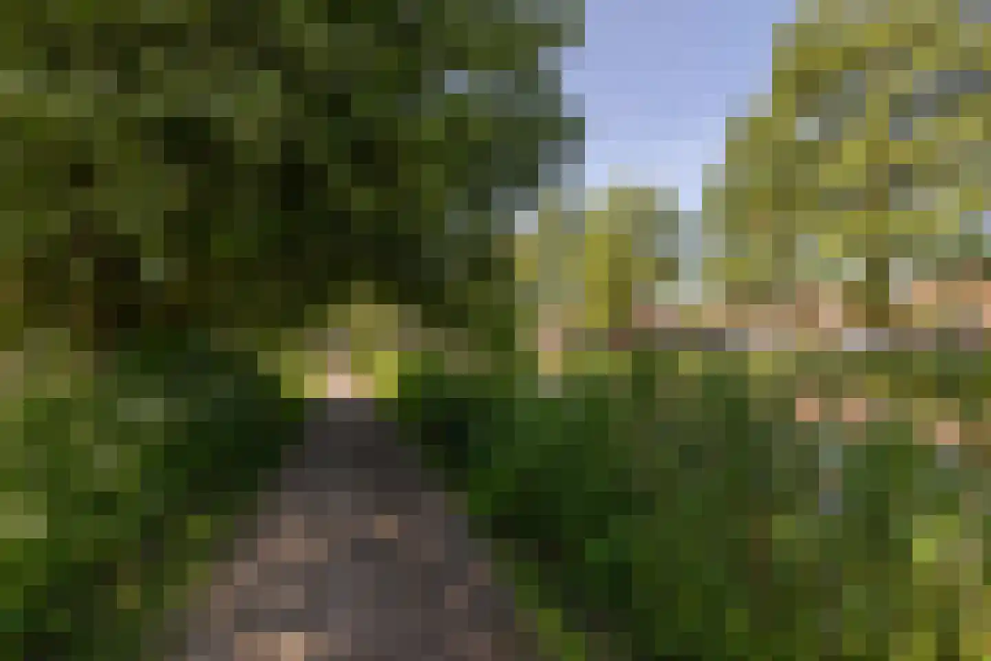 Leeuwarderkade 22 Sneek thumbnail 48