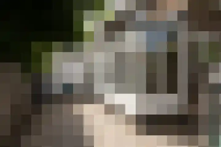 Leeuwarderkade 23 Sneek thumbnail 29