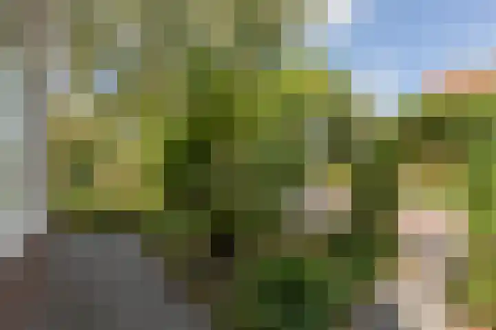 Leeuwarderkade 23 Sneek thumbnail 31