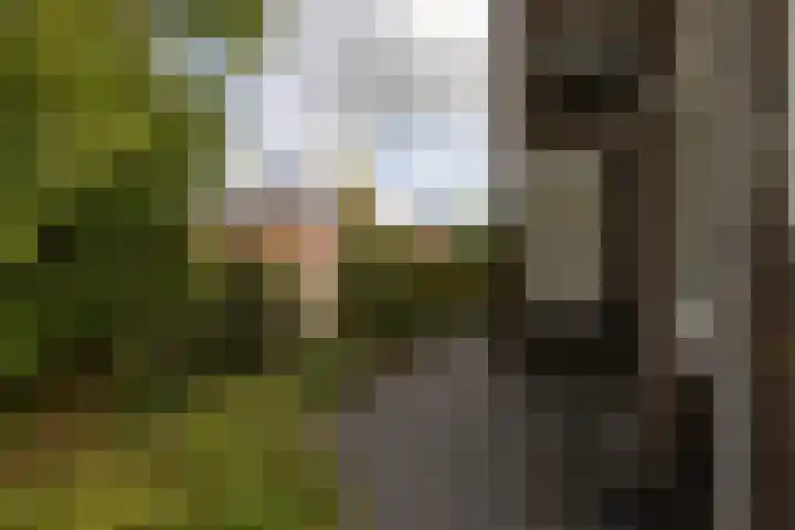 Leeuwarderkade 23 Sneek thumbnail 32