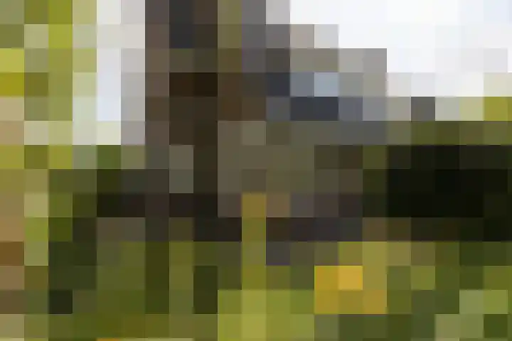 Leeuwarderkade 23 Sneek thumbnail 33