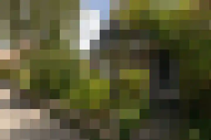 Leeuwarderkade 23 Sneek thumbnail 34