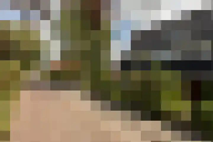 Leeuwarderkade 23 Sneek thumbnail 36