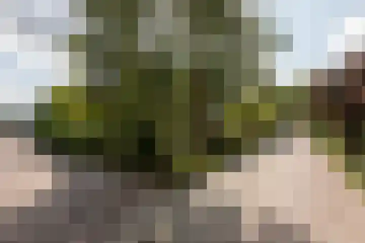 Leeuwarderkade 23 Sneek thumbnail 37