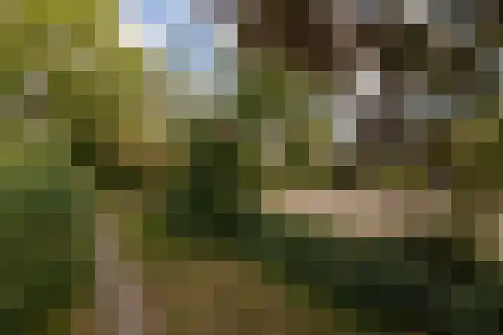 Leeuwarderkade 23 Sneek thumbnail 38