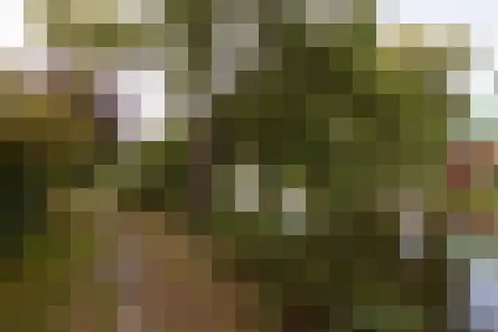 Leeuwarderkade 23 Sneek thumbnail 39