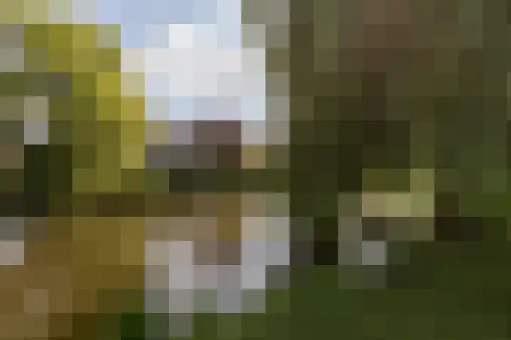 Leeuwarderkade 23 Sneek thumbnail 4