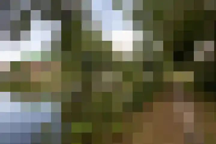 Leeuwarderkade 23 Sneek thumbnail 40