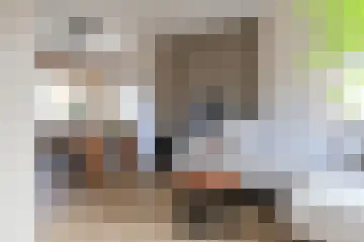 Leeuwarderkade 39 Sneek thumbnail 23