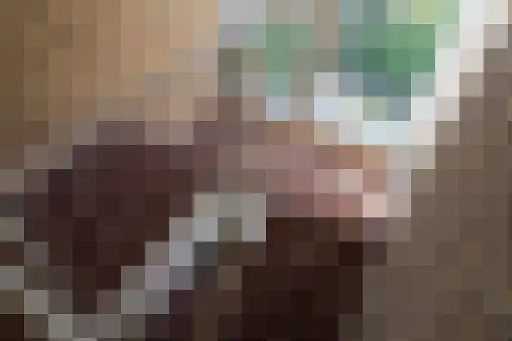 Leeuwarderkade 39 Sneek thumbnail 9
