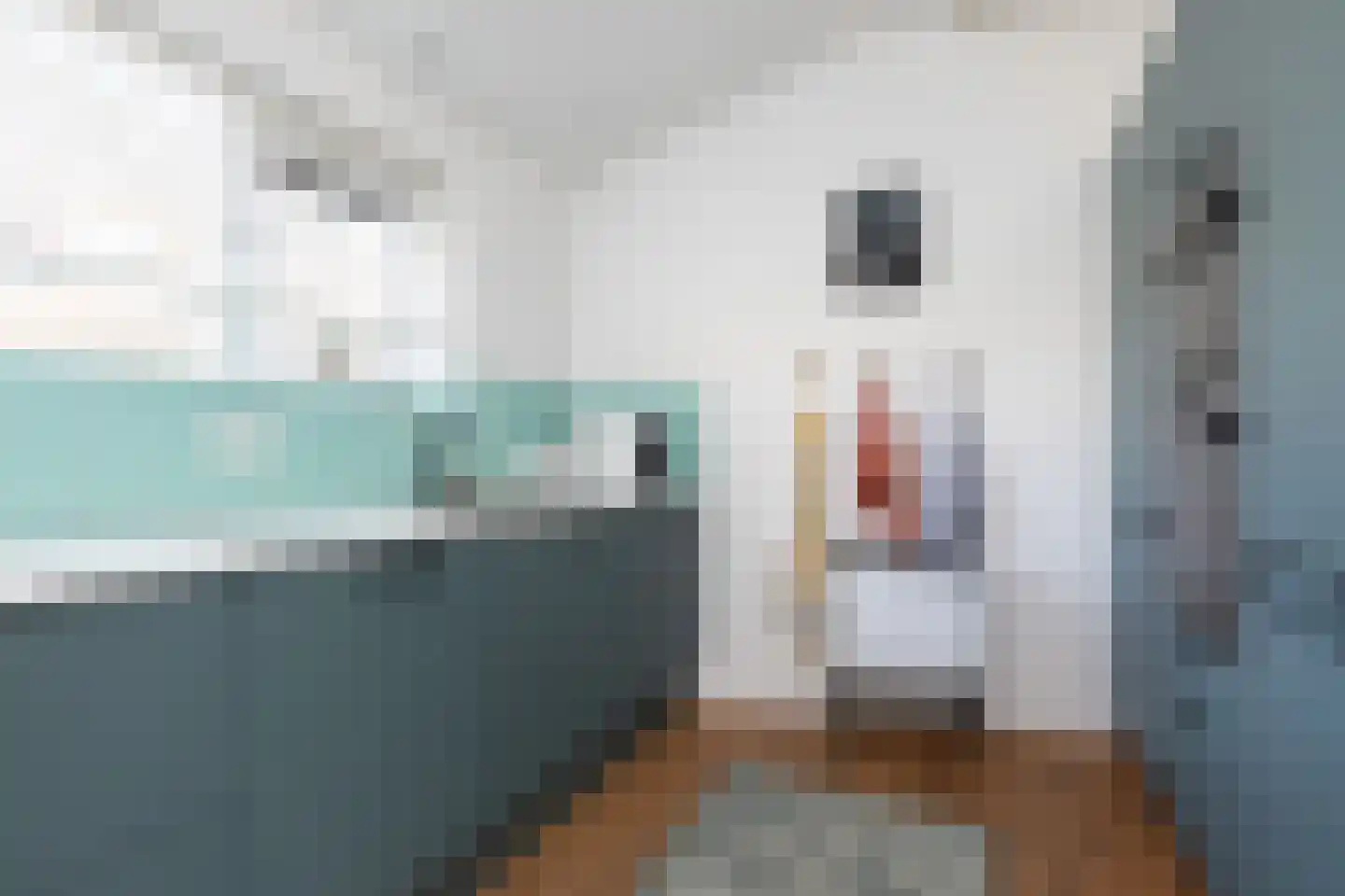 Leeuwarderkade 4 Sneek thumbnail 10