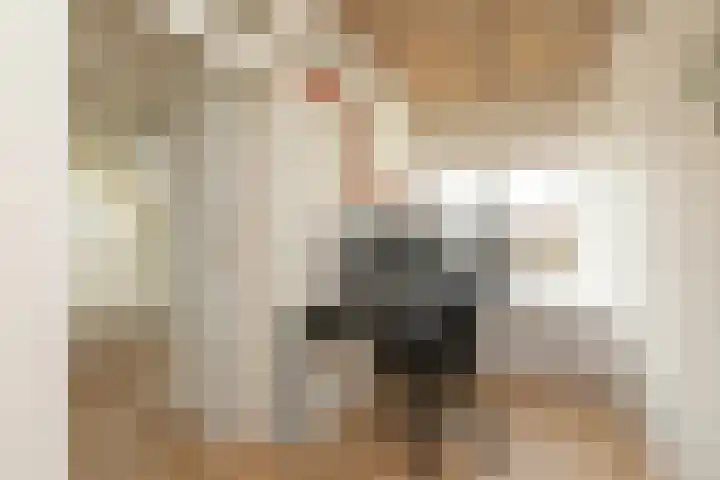 Leeuwarderkade 4 Sneek thumbnail 22