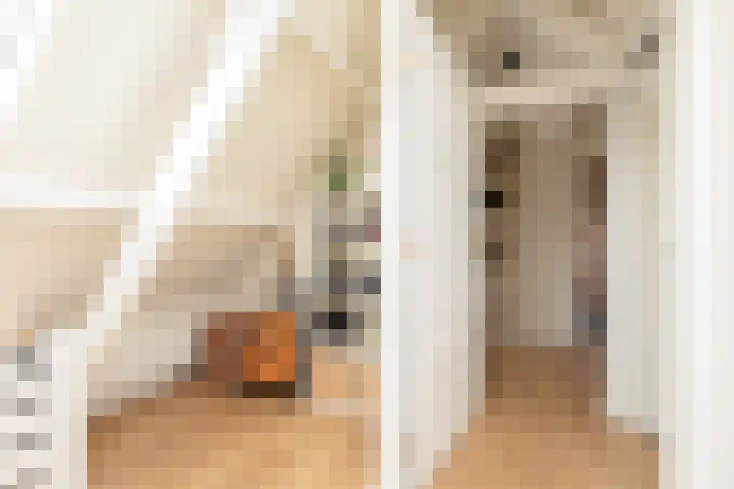 Leeuwarderkade 4 Sneek thumbnail 23