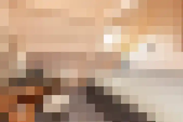 Leeuwarderkade 4 Sneek thumbnail 26