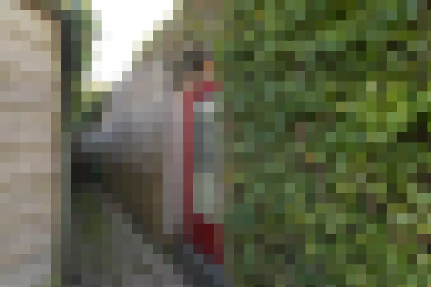 Leeuwarderkade 4 Sneek thumbnail 39