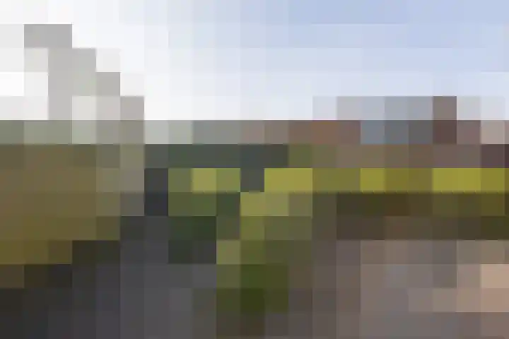 Leeuwarderkade 4 Sneek thumbnail 40