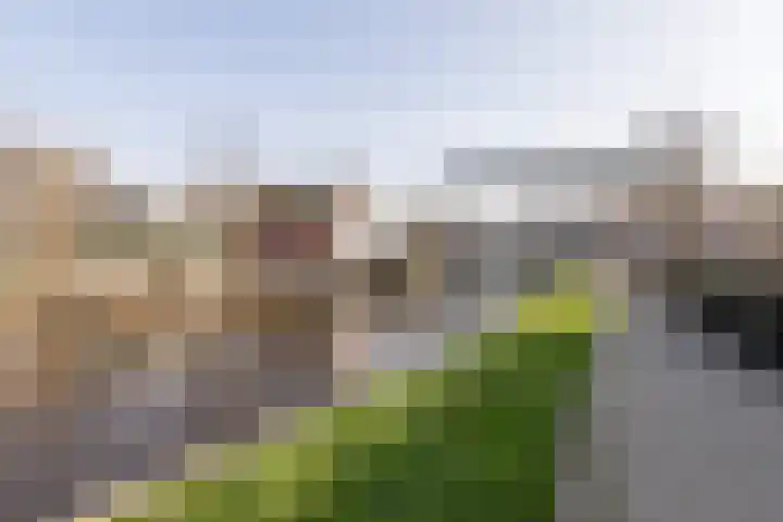 Leeuwarderkade 4 Sneek thumbnail 42