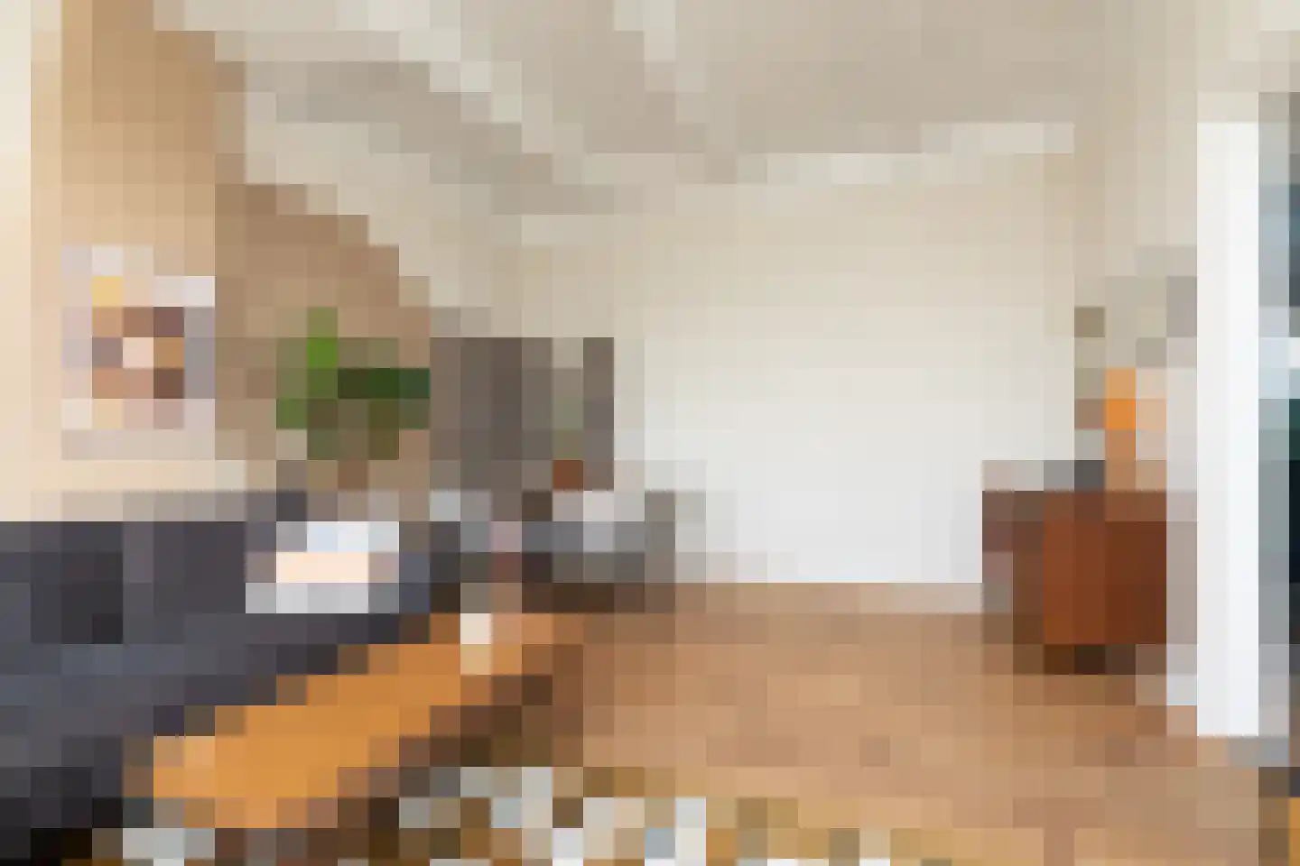Leeuwarderkade 4 Sneek thumbnail 5