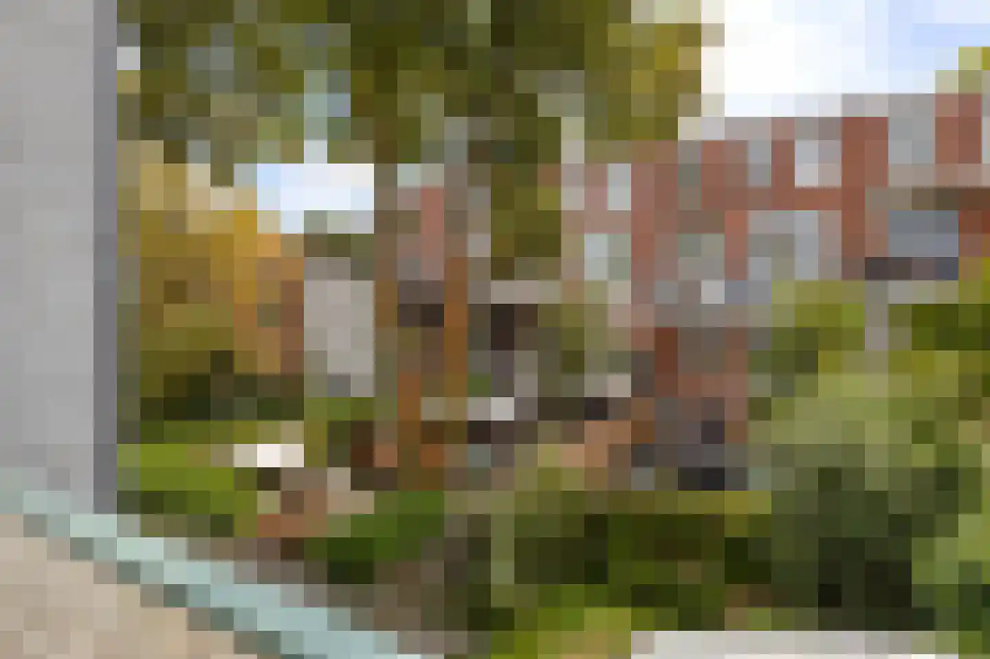 Leeuwarderstraat 18 a Groningen thumbnail 34